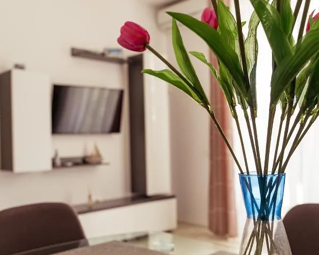 Happy Mamaia ナボダリ